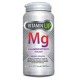 Vitamin UP Magnesio (60 cápsulas)| Newscience